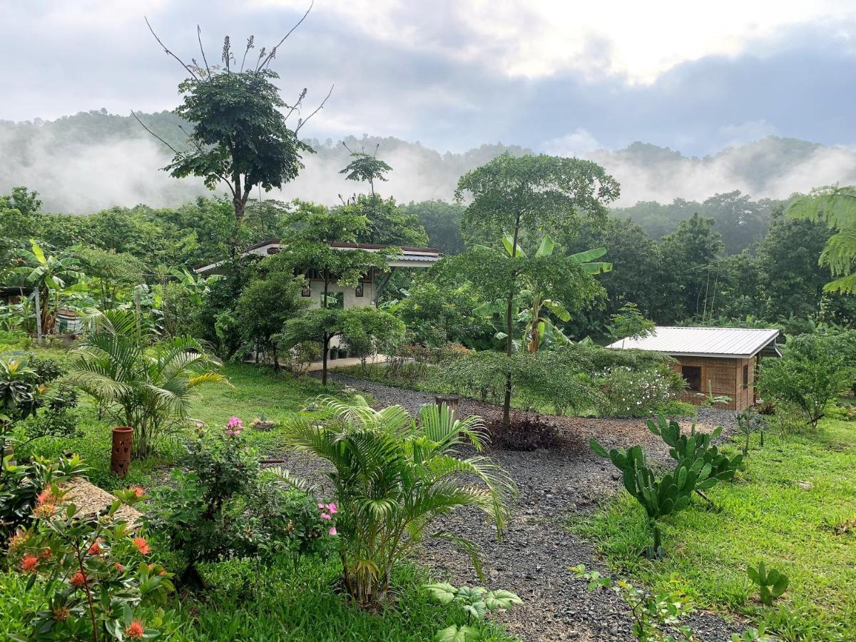 True Nature Chiang Mai - Yoga & Meditation Homestay Retreat Exterior foto