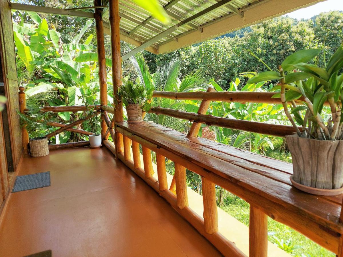 True Nature Chiang Mai - Yoga & Meditation Homestay Retreat Exterior foto